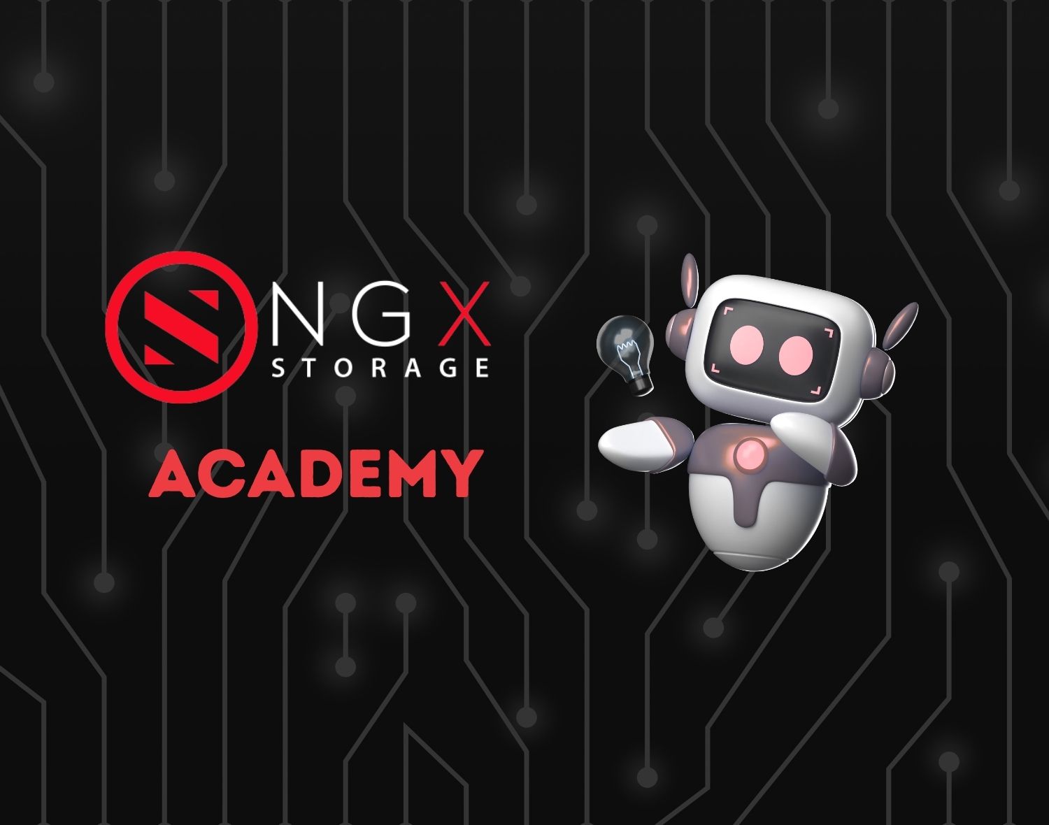 NGX Storage Launches NGX Storage Academy | NGX Storage